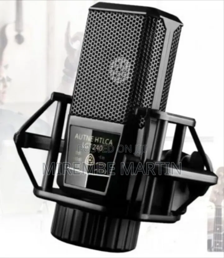 Autne HTLCA LGT 240 Professional Diaphragm Condenser Microphone Audio
