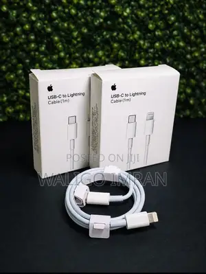 USB to iPhone Cable