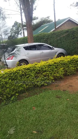 Toyota Will 2001 Silver