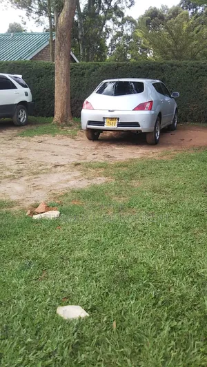 Toyota Will 2001 Silver