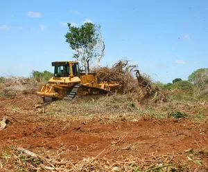 Land Clearing, Grading Leveling | Site Preparation Earthworks