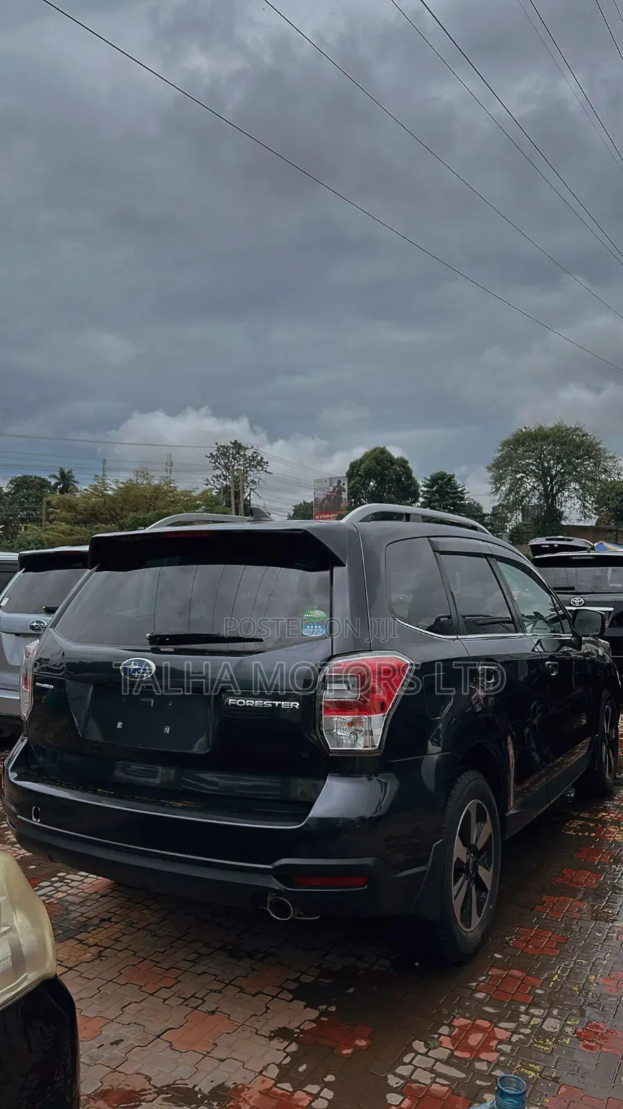 Subaru Forester 2017 Gray