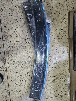 Corolla Spacio Rainshields
