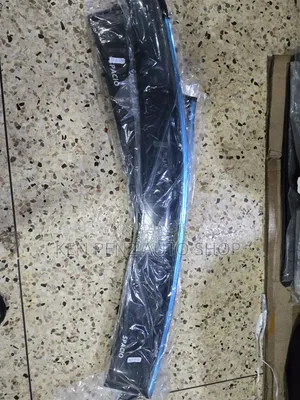 Corolla Spacio Rainshields
