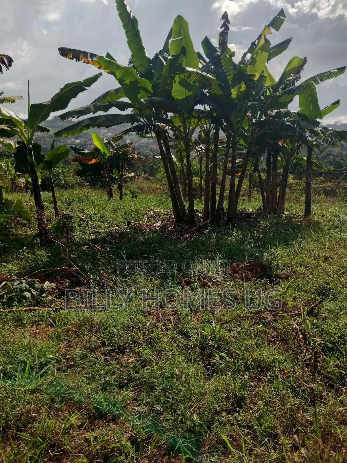 Prime Plot for Sale Located in Akright-Bwebajja