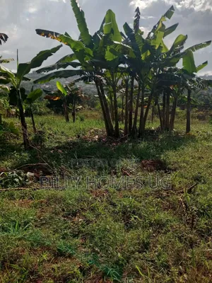 Prime Plot for Sale Located in Akright-Bwebajja