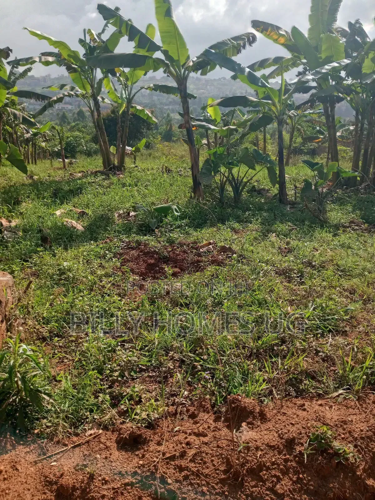 Prime Plot for Sale Located in Akright-Bwebajja