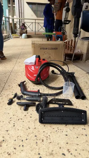 Steam Cleaners