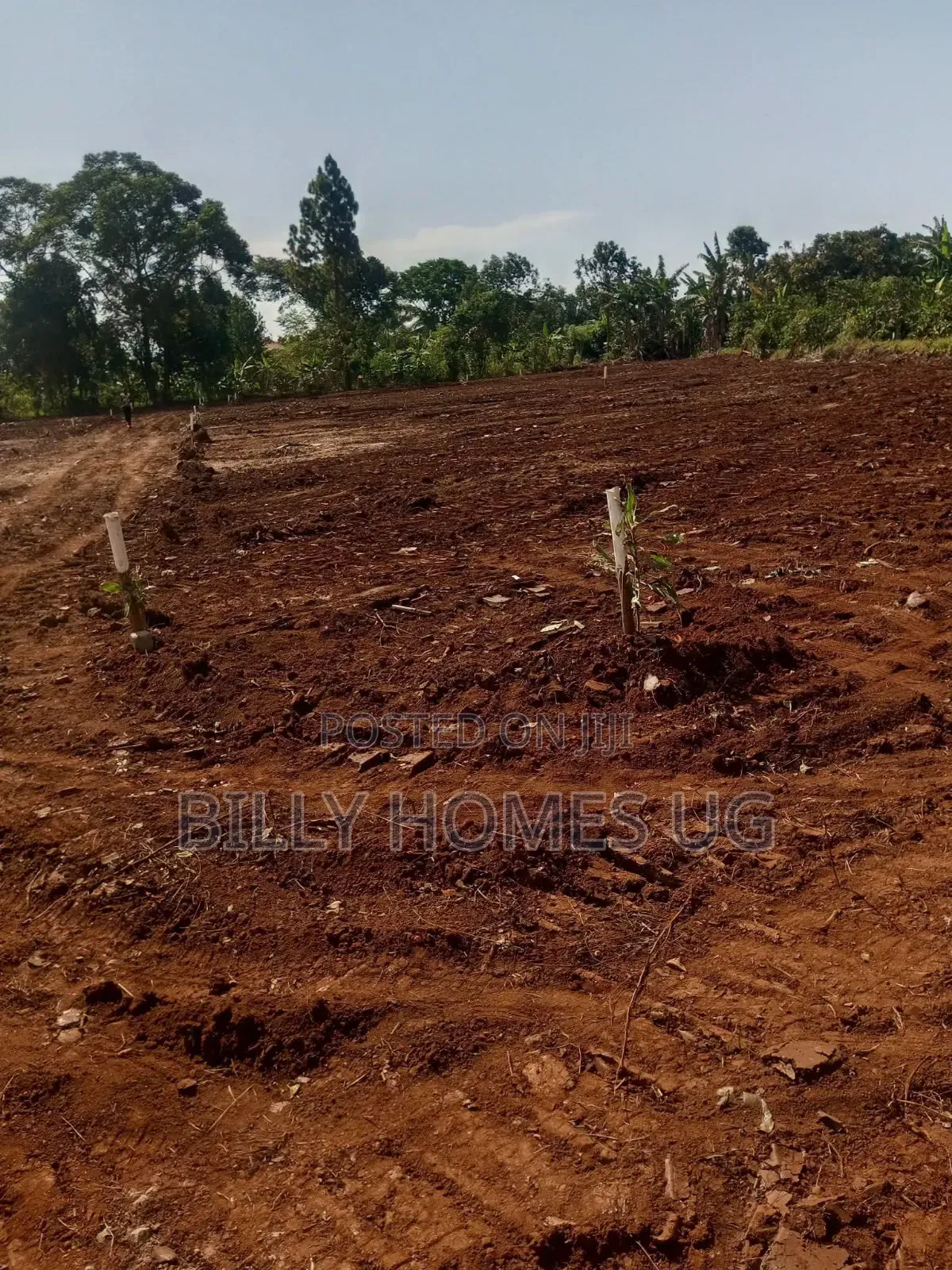 Estate Plots for Sale in Kitende