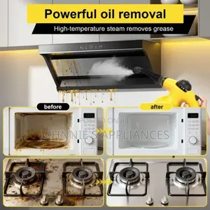 Potable High Pressure Steam Cleaner