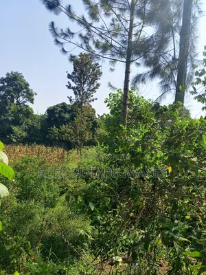 Plot for Sale