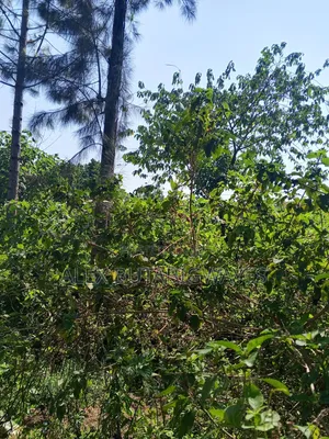 Plot for Sale