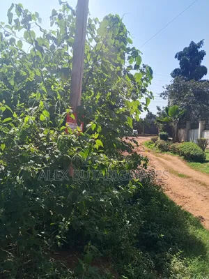 Plot for Sale