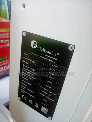 High Voltage 10kwh/48volts Lithium Iron Phosphate Battery Felicity.