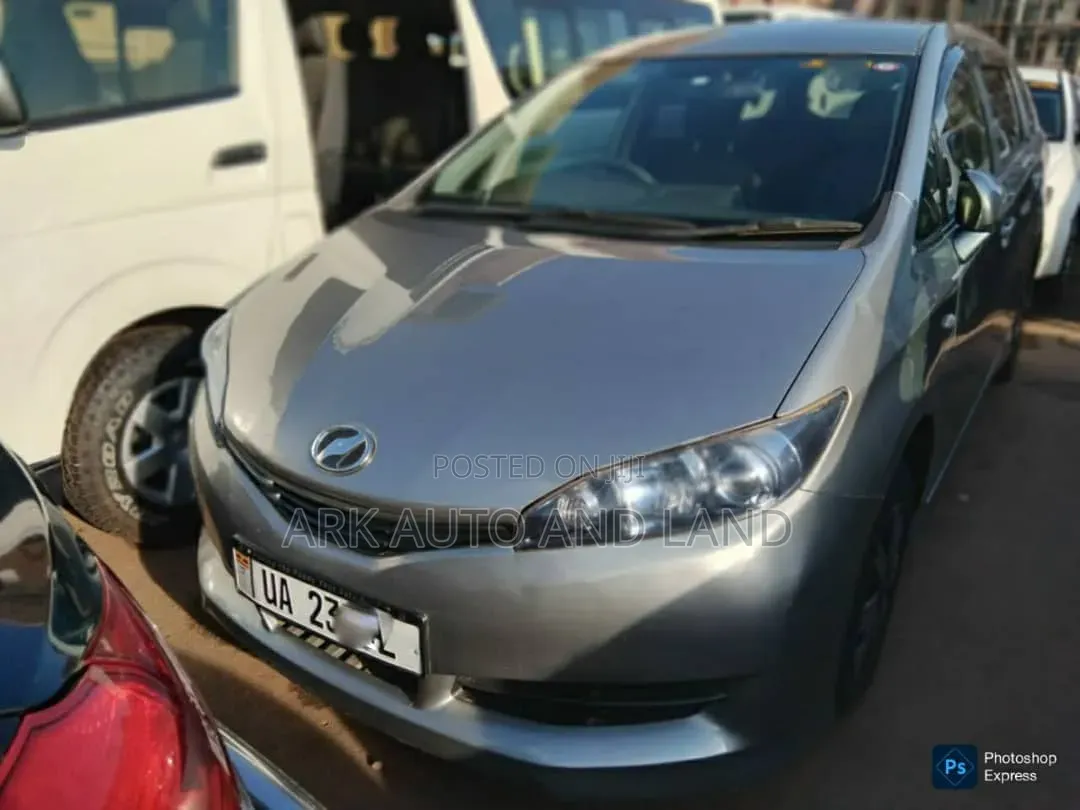 Toyota Wish 2011 Gray