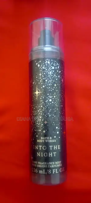 Into the Night Bath and Body Works Mist