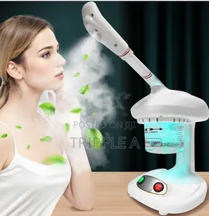 Facial Sauna Vapour Steamer Face Mist Sprayer