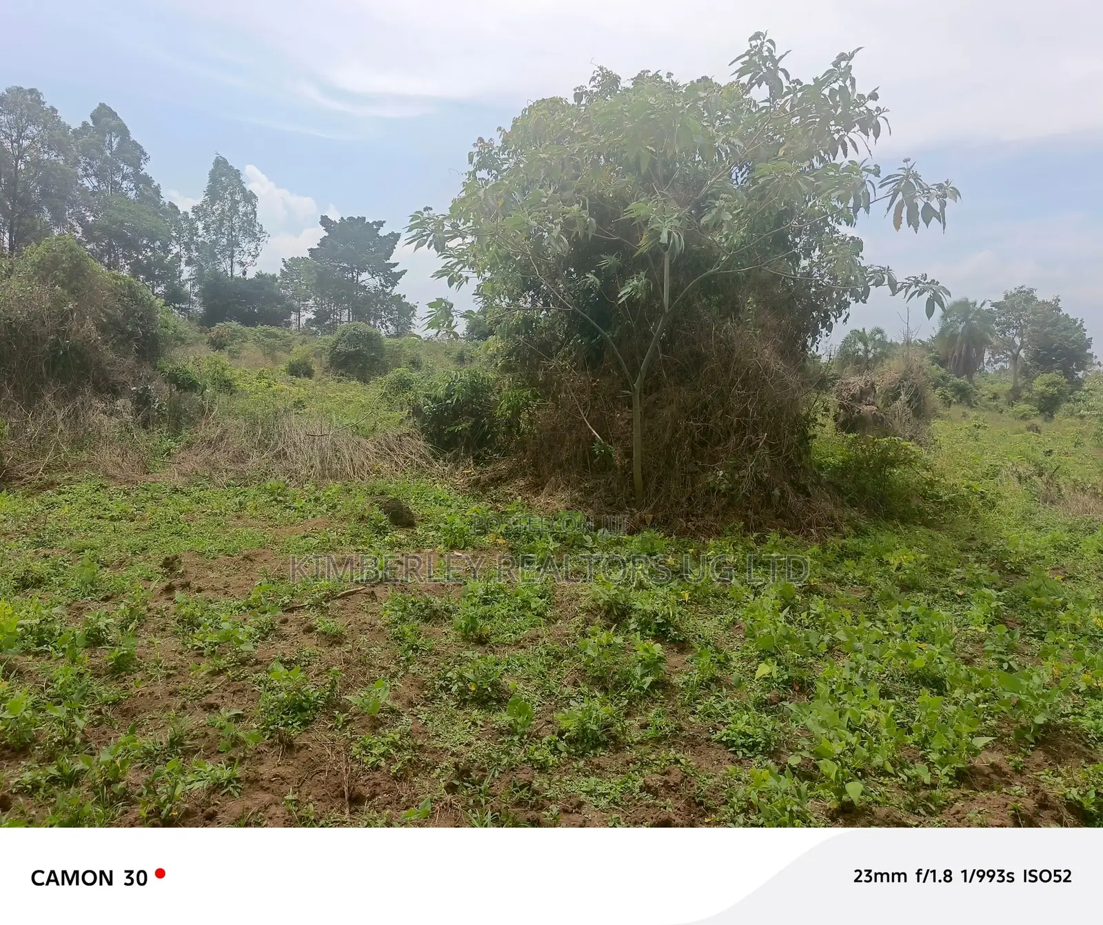Farmland for Sale – Masaka Kasaka