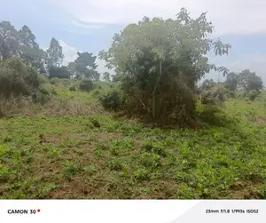 Farmland for Sale – Masaka Kasaka