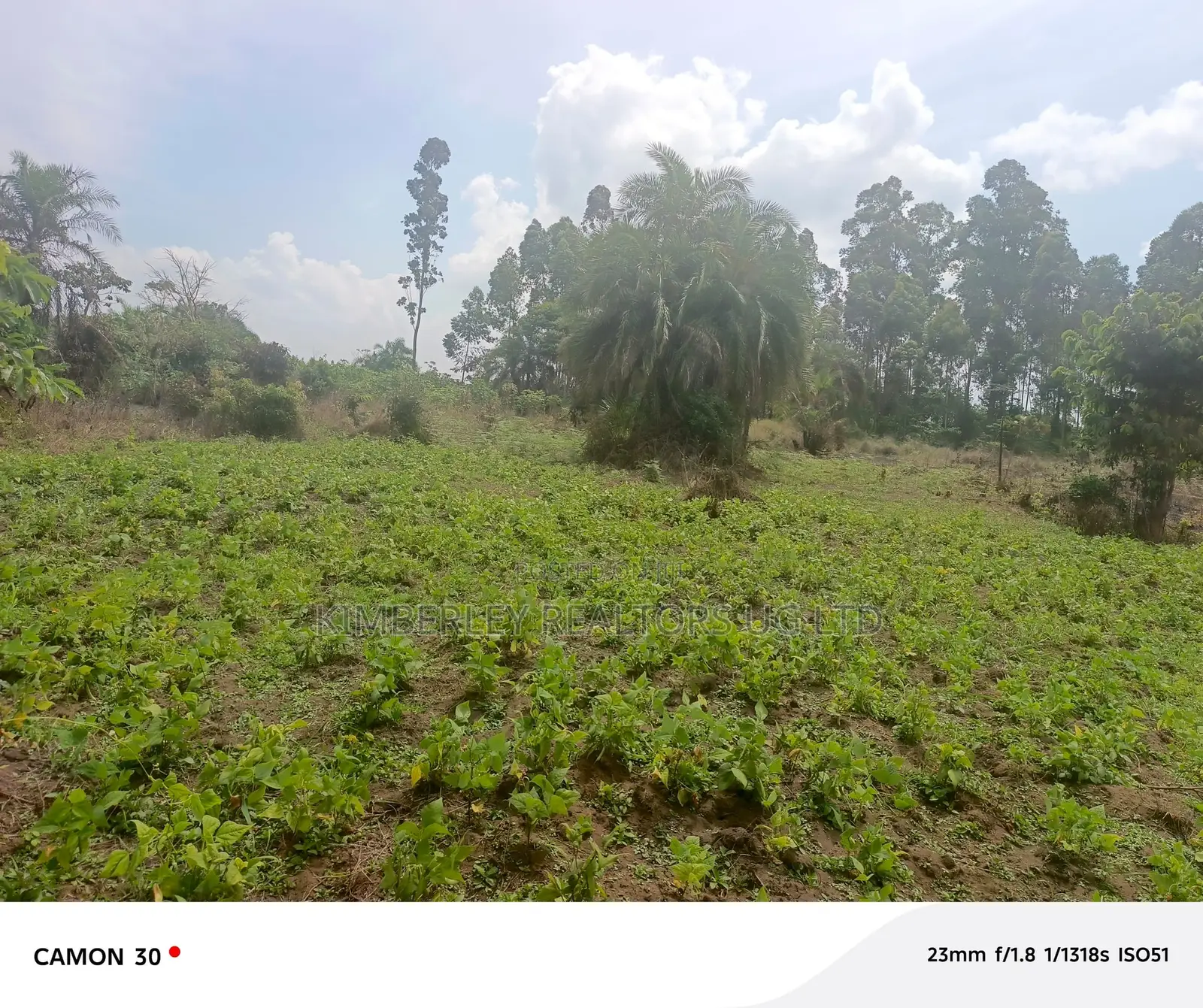 Farmland for Sale – Masaka Kasaka