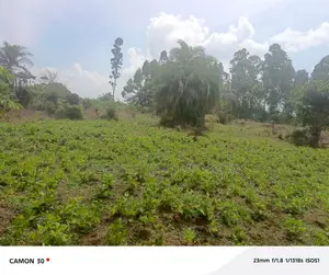 Farmland for Sale – Masaka Kasaka