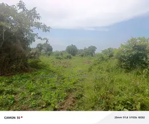 Farmland for Sale – Masaka Kasaka