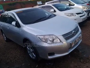 Toyota Corolla Fielder 2010 Silver