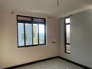 Aluminum Windows and Doors
