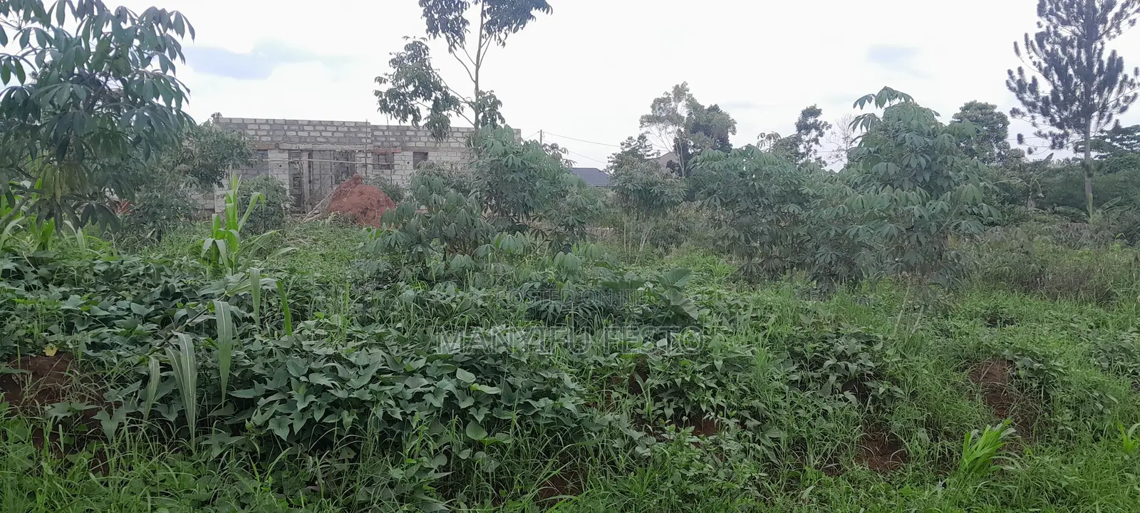 Land for Sale 100/ 80 at Canaan Estate Kambebe Mukono