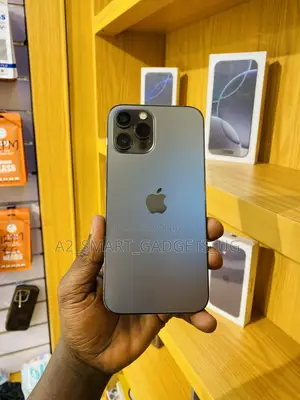 Apple iPhone 12 Pro Max 256 GB Gray