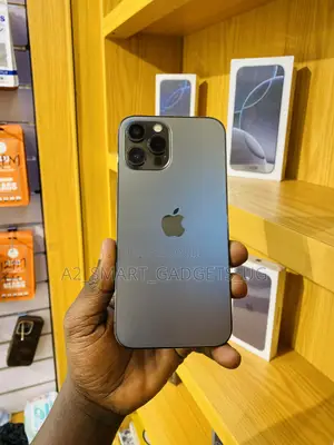 Apple iPhone 12 Pro Max 256 GB Gray