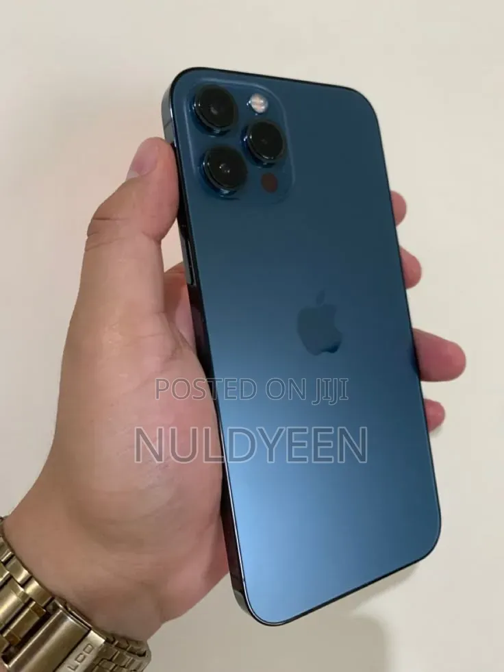 Apple iPhone 12 Pro Max 256 GB Blue