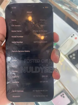Apple iPhone 12 Pro Max 256 GB Blue