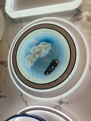 Feather  Design LED Ceiling Light