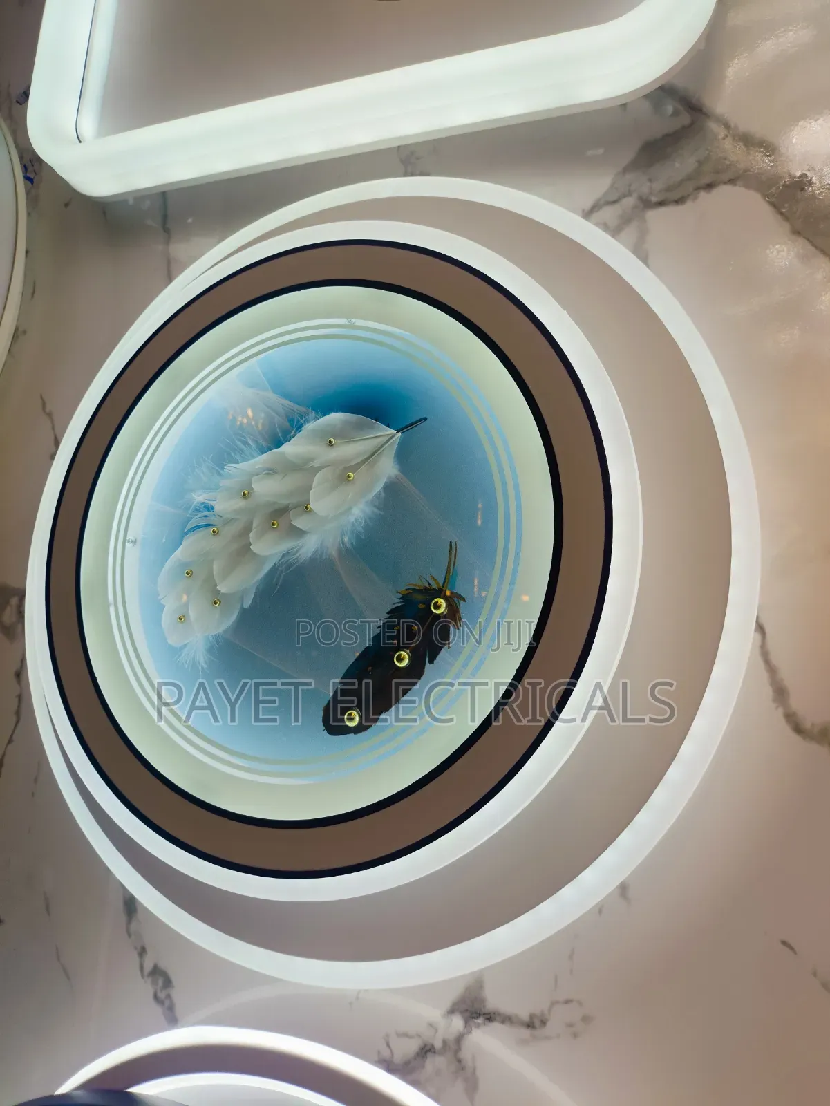 Feather  Design LED Ceiling Light
