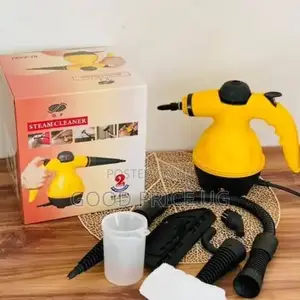 DF-A001 Handheld Steam Cleaner