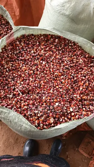 Red Heritage Maize