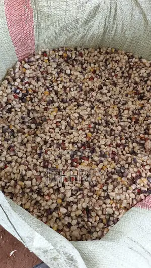 Red Heritage Maize