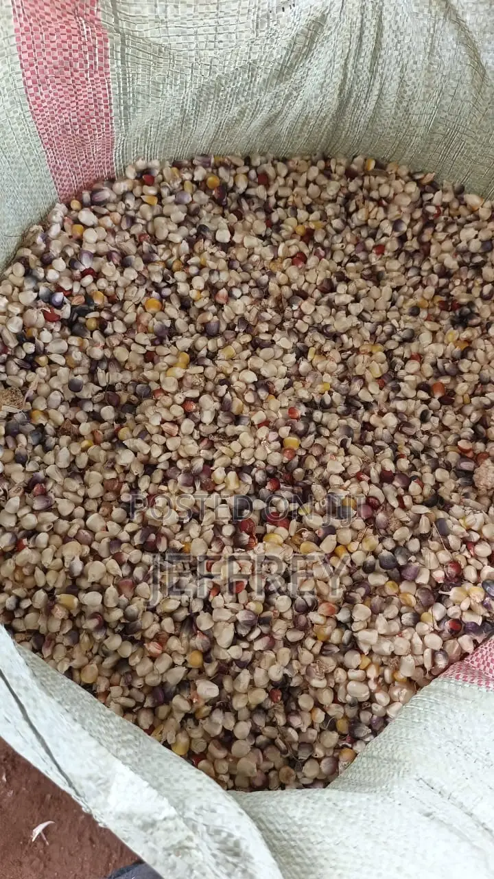 Red Heritage Maize