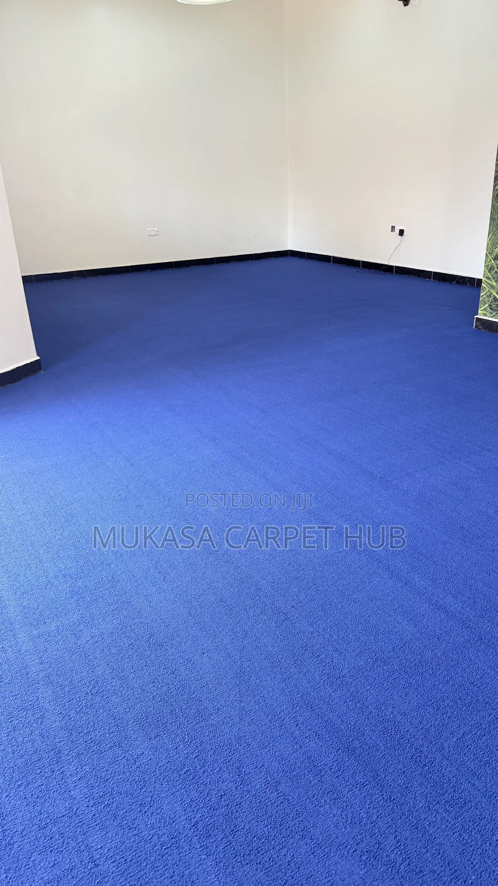 Blue Woolen Wall to Wall Carpet – Premium Quality