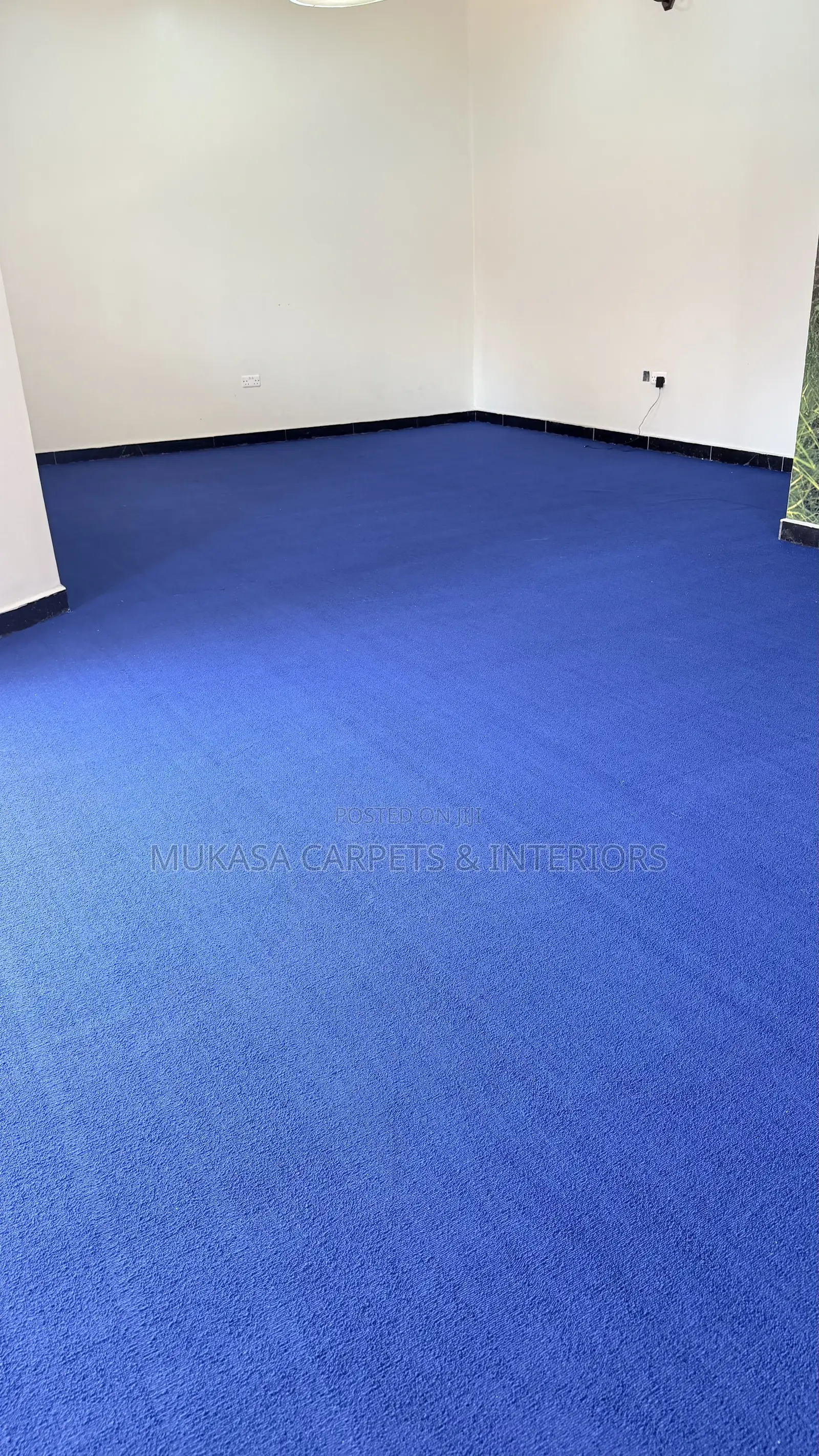 Blue Woolen Wall to Wall Carpet – Premium Quality