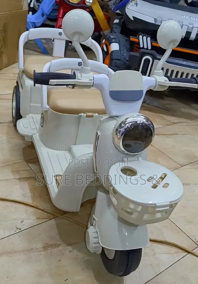 Double Rechargeable Bike