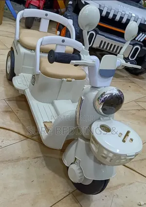 Double Rechargeable Bike