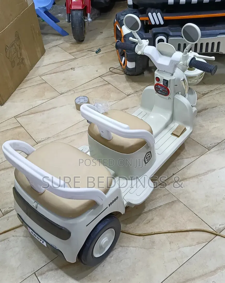 Double Rechargeable Bike