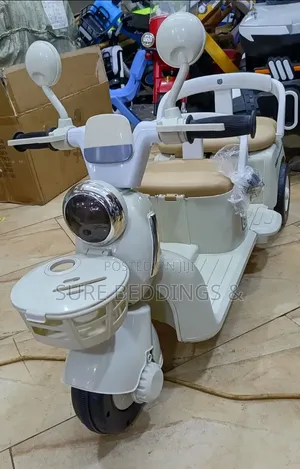 Double Rechargeable Bike
