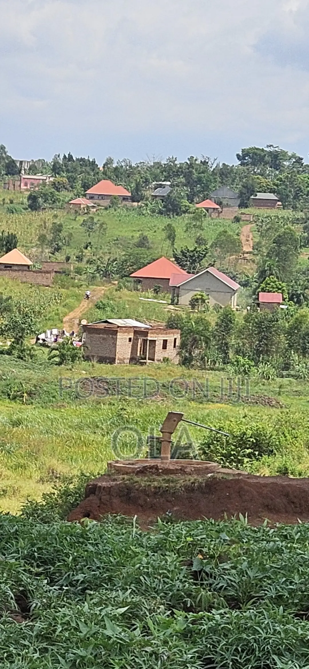 Land and Plots