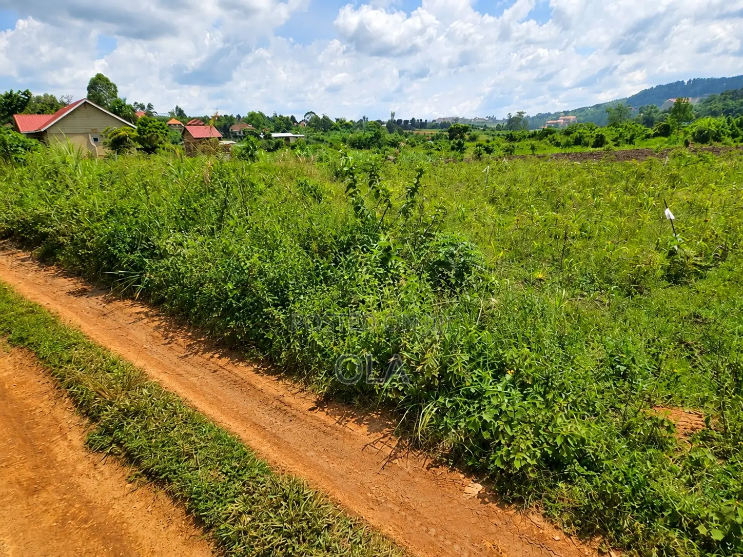 Land and Plots