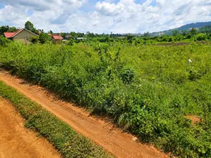 Land and Plots