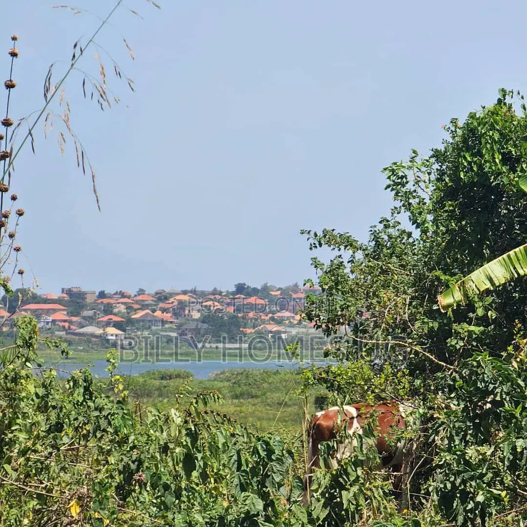Lakeview Plots for Sale Located in Lutembe-Namulanda