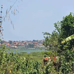 Lakeview Plots for Sale Located in Lutembe-Namulanda